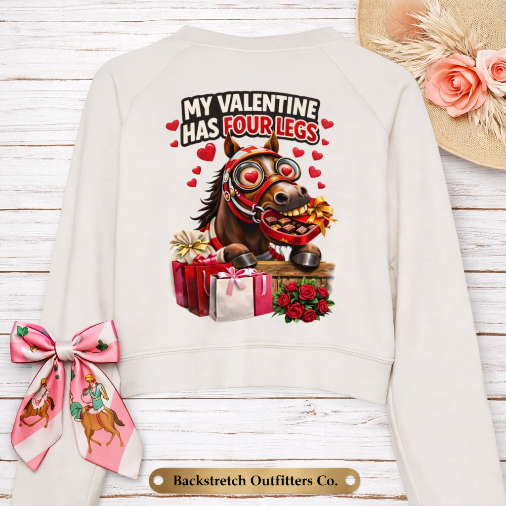 BSCO - Valentine Has 4 Legs: Bella + Canvas Raglan Pullover Sweatshirt