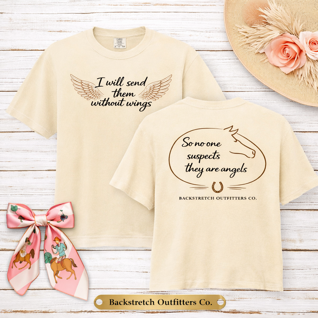 BSCO Send an Angel Comfort Colors Light Heavyweight Boxy T