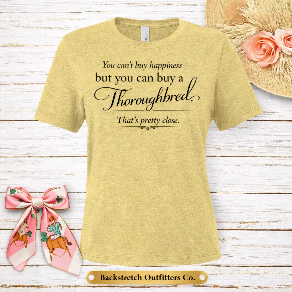 BSCO You Cant Buy Happiness Bella+Canvas Relaxed Triblend T
