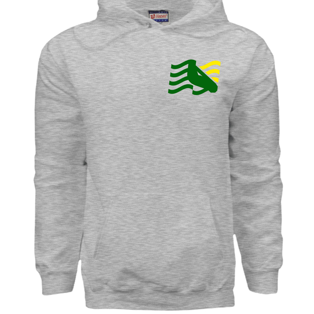 ASH - FRONT