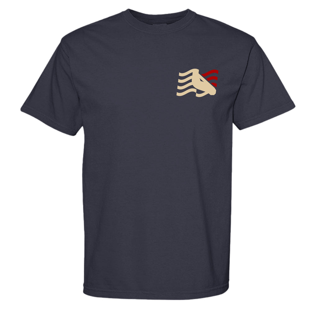 NAVY - C1717 - FRONT